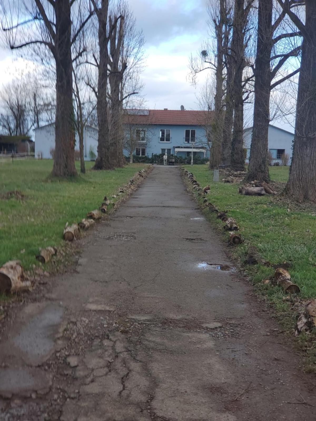 Grosse 3 Zi Wohnung Auf Der Pferde Farm Лар Экстерьер фото